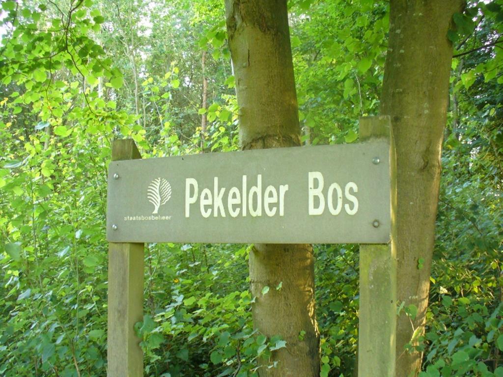 Bed & Breakfast De Wiekeborg Oude Pekela